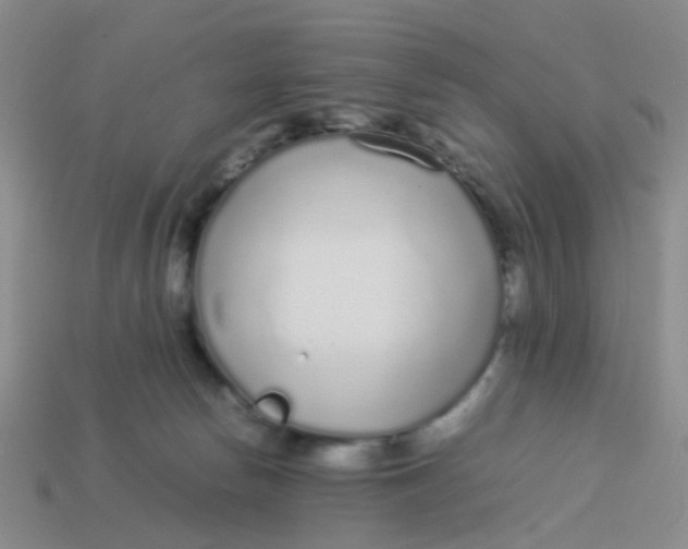 X0000113560178200910161504