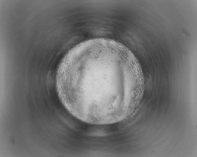 X0000113560179200910161504