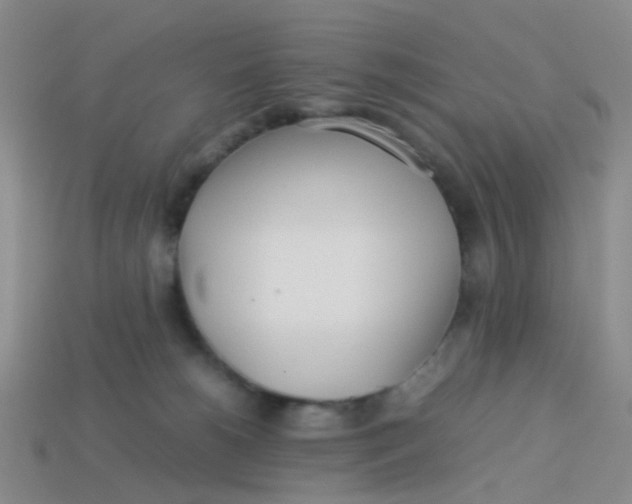 X0000113560180200910161504
