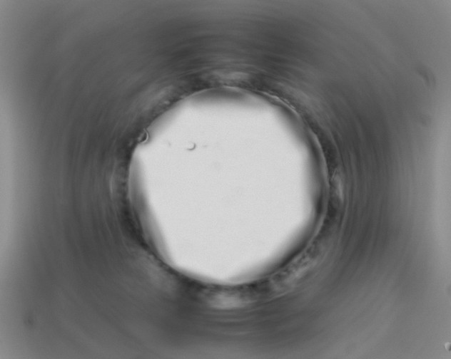 X0000113560181200910161504