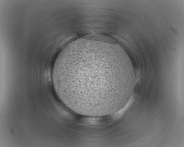 X0000113560182200910161504