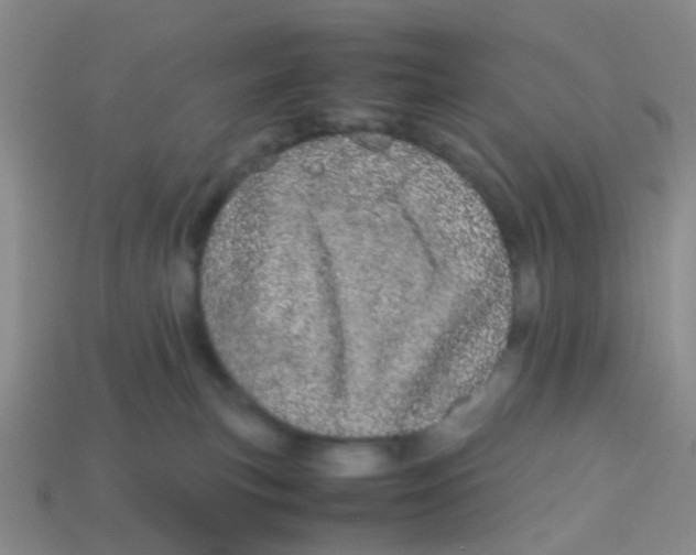 X0000113560183200910161504