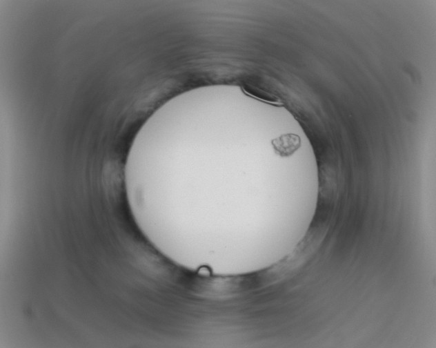 X0000113560184200910161504
