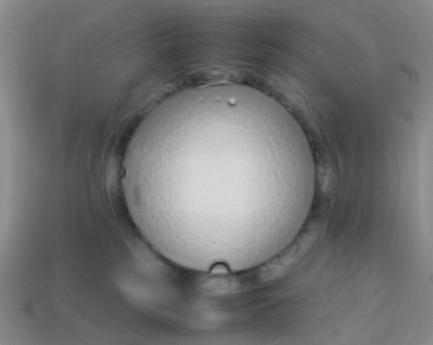 X0000113560185200910161504