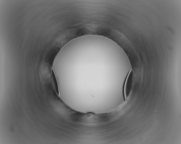 X0000113560186200910161504