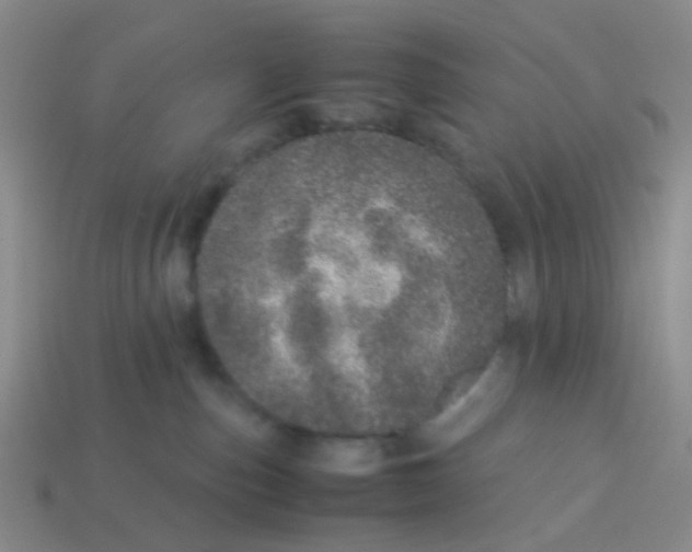 X0000113560187200910161504