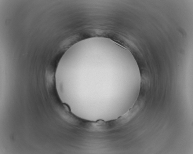 X0000113560188200910161504