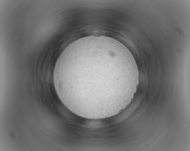 X0000113560189200910161504