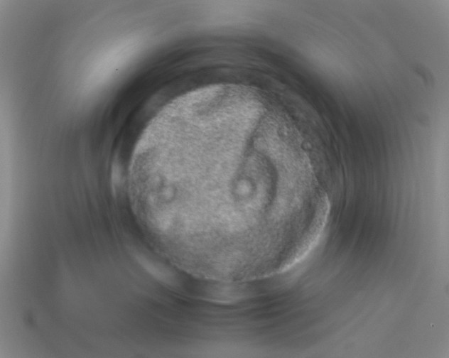 X0000113560191200910161504