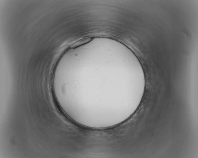 X0000113560193200910161503