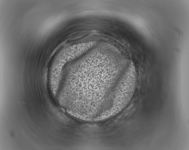 X0000113560194200910161503