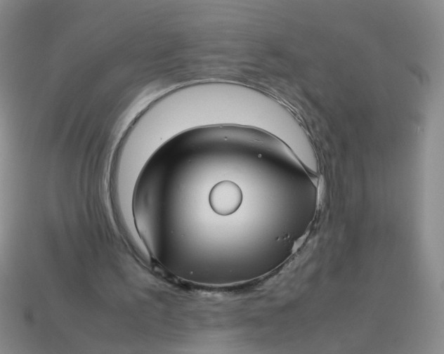 X0000113560195200910161503