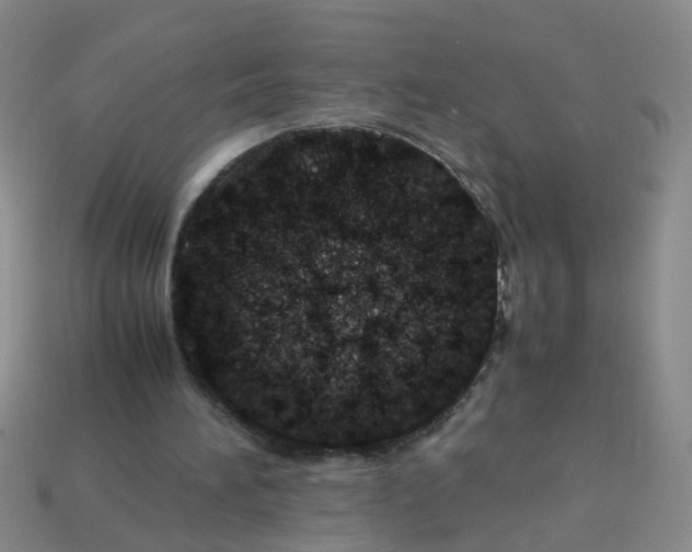 X0000113560196200910161503