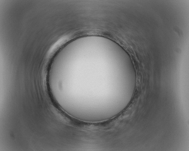 X0000113560197200910161503