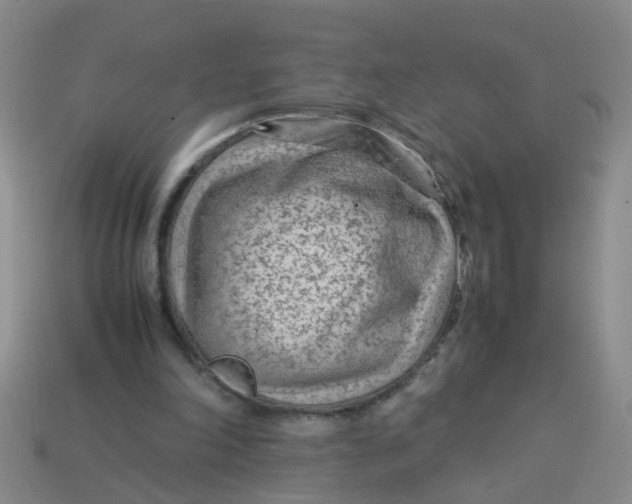 X0000113560198200910161503