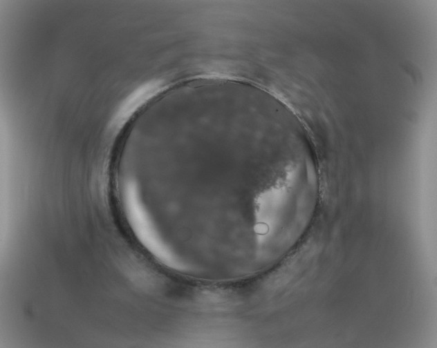 X0000113560199200910161503