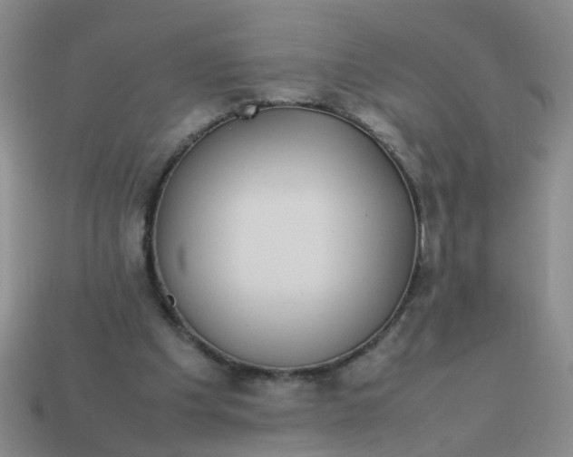 X0000113560201200910161503