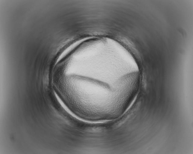 X0000113560202200910161503