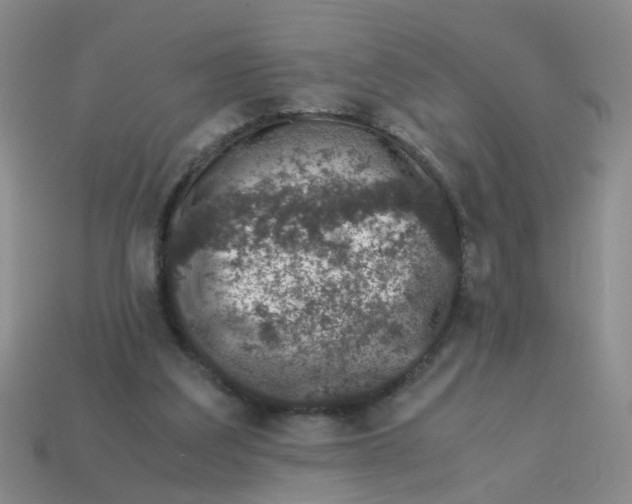 X0000113560203200910161503