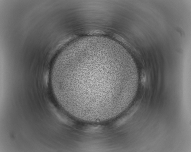 X0000113560206200910161503