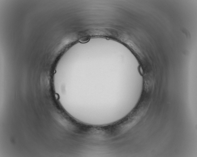 X0000113560207200910161503