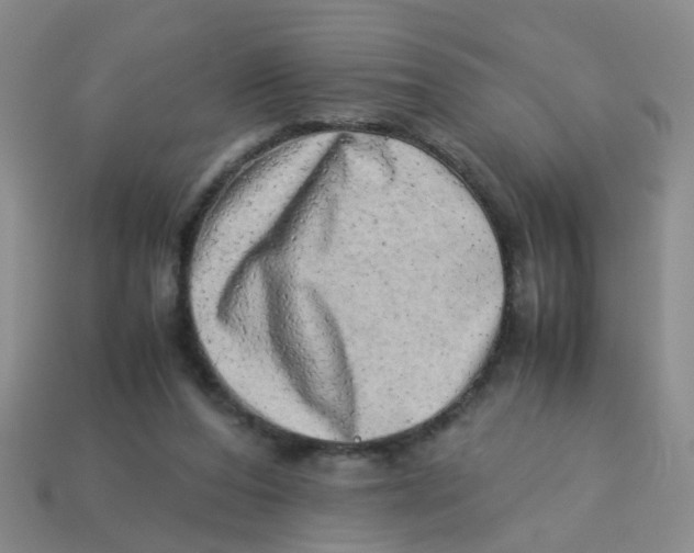 X0000113560208200910161503