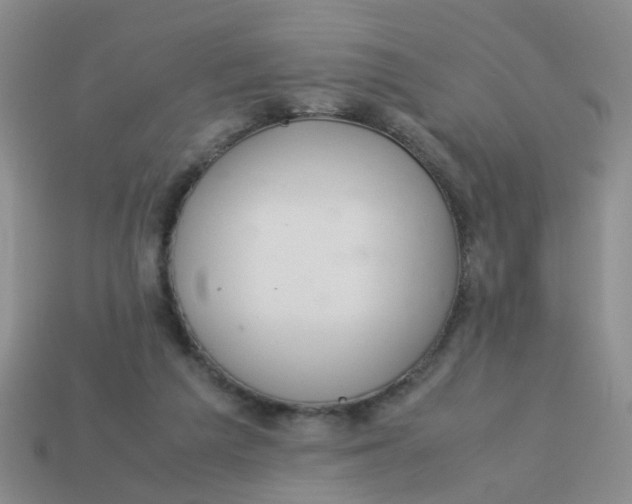 X0000113560209200910161503