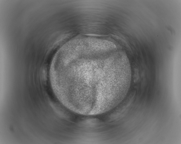 X0000113560210200910161503