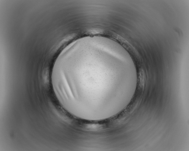 X0000113560212200910161503