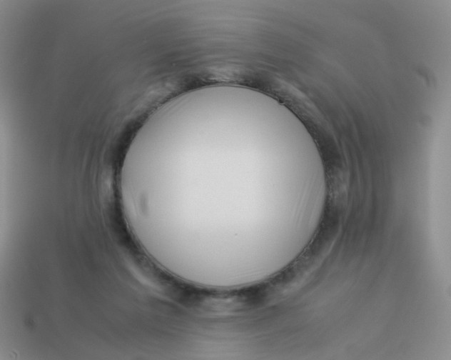 X0000113560213200910161503