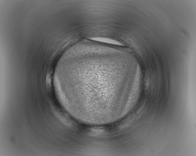 X0000113560214200910161503