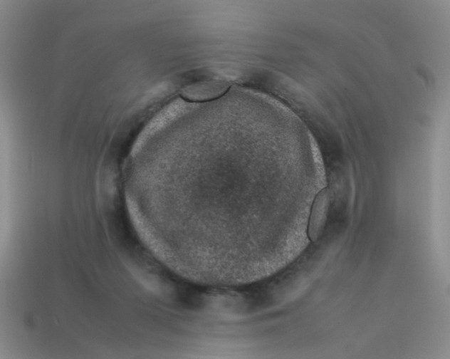 X0000113560215200910161503