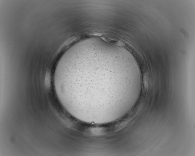 X0000113560216200910161503
