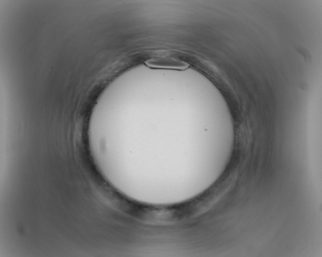 X0000113560217200910161503