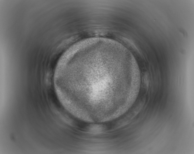 X0000113560218200910161503
