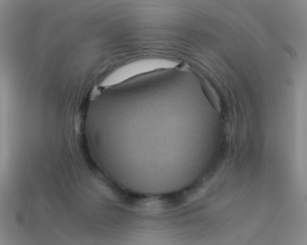 X0000113560219200910161503