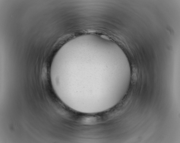 X0000113560220200910161503
