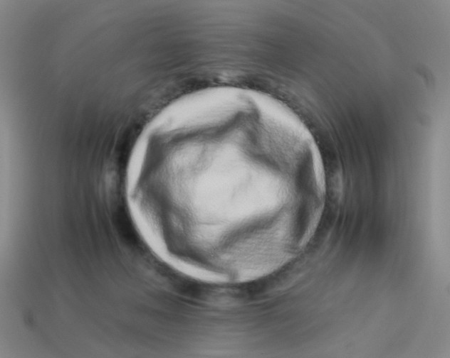 X0000113560222200910161503
