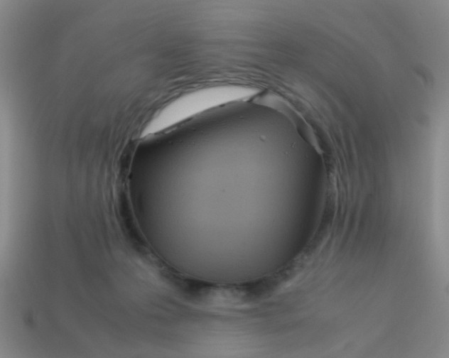 X0000113560223200910161503