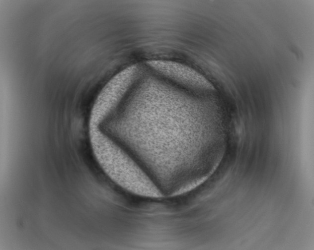 X0000113560224200910161503
