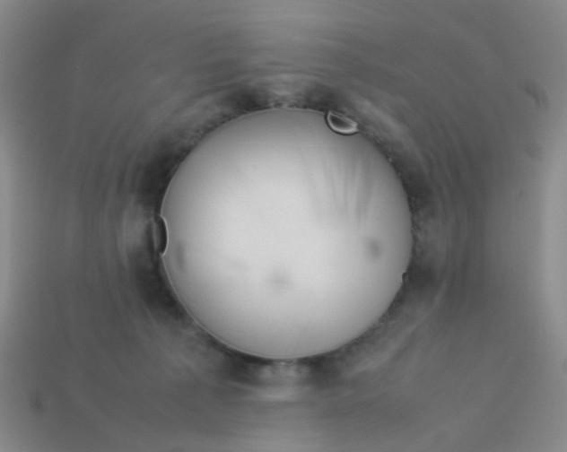 X0000113560225200910161503