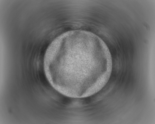 X0000113560226200910161503