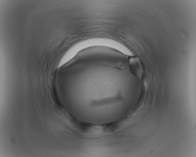 X0000113560227200910161503