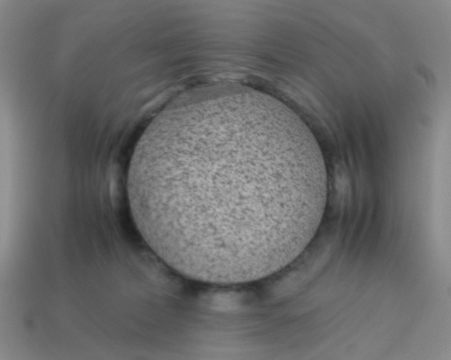 X0000113560228200910161503