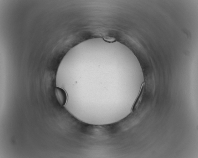 X0000113560229200910161503