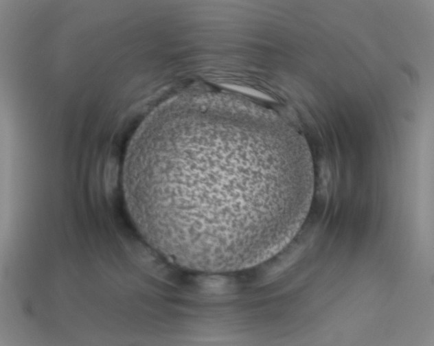 X0000113560230200910161503