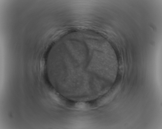 X0000113560231200910161503