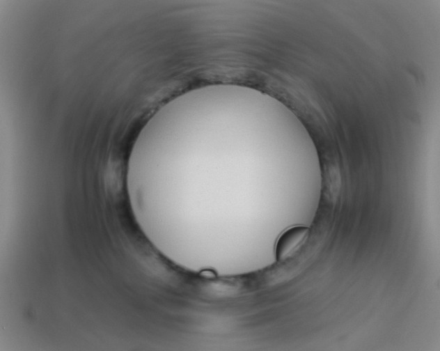 X0000113560232200910161503