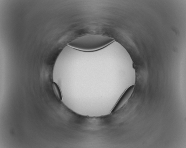 X0000113560233200910161503