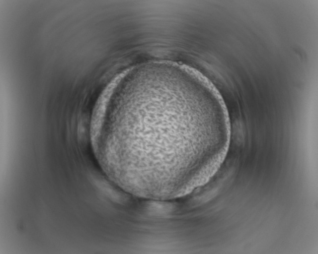 X0000113560234200910161503